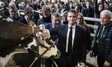 President Emmanuel Macron met de prijswinnende Normandische koe Oreillette, afgelopen zaterdag op de Salon International de l’Agriculture in Parijs