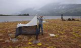 Een ecoloog controleert een malaiseval waarmee vliegende insecten zijn gevangen. Dergelijke vallen zijn ook gebruikt in de beroemde ‘Krefeldstudie’, waarbij werd gekeken naar de insectenbiomassa.