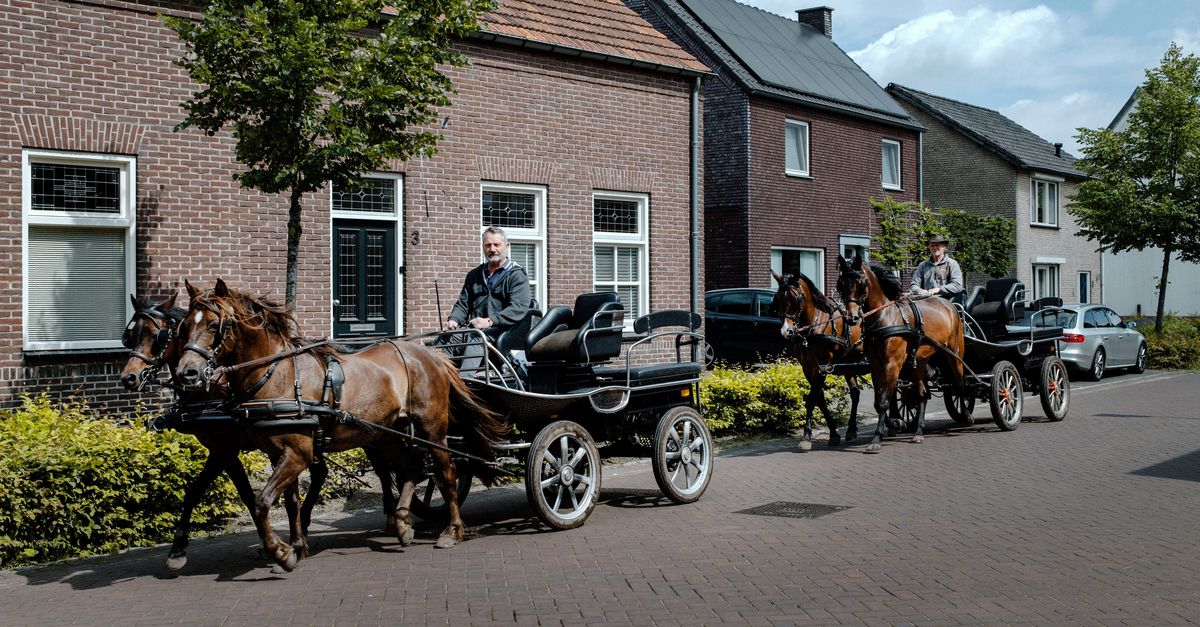 Waar gaan Nederlanders vandaag níét stemmen? ‘Onze jeugd kan geen huis kopen’