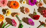 Hoe kies je duurzame bloemen? En andere tips voor een perfect valentijnsboeket