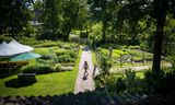 Hogere snoeikunst geeft peren van een pond