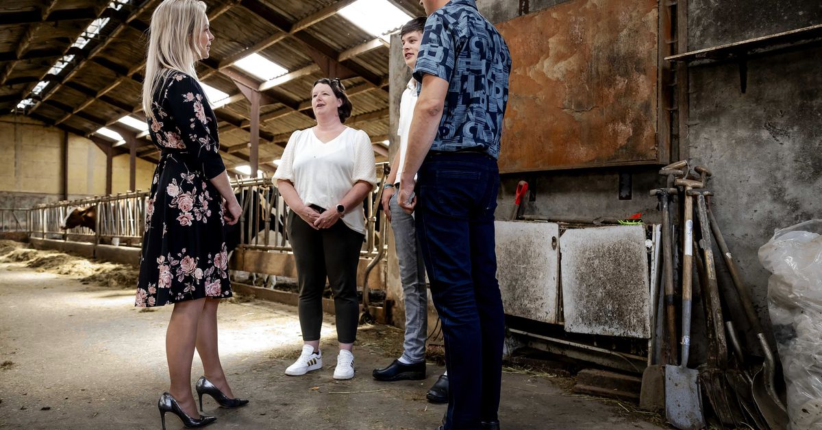 Nieuw kabinet moet deze zomer doorwerken