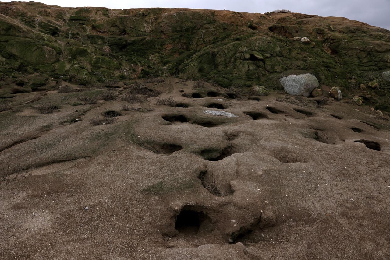 Ooit waren er rond de miljoen humboldtpinguïns. Nu nog ruim twintigduizend. In Chili en Peru proberen ze de soort te behouden