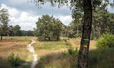 Landgoed Den Treek-Henschoten in Leusden. De rentmeester:  „De totale schade van de gedeeltelijke sluiting loopt misschien in de tonnen.”