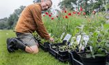 Guido van Rijkom van kwekerij Bijenkans tijdens de ecotuindagen. 