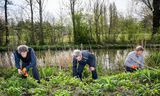 Met zo’n groenstrook hoeven insecten geen kilometers te vliegen voor hun ontbijt