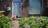 Bij de voordeur van de woning in Vlaardingen zijn knuffels neergelegd voor het 10-jarige meisje. De pleegouders zijn aangehouden op verdenking van zware mishandeling. 