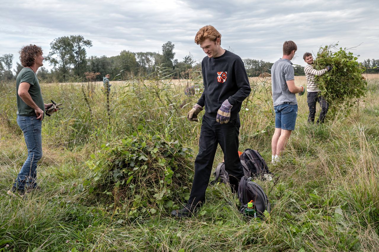 De voedselbosboer mag geen luie boer zijn