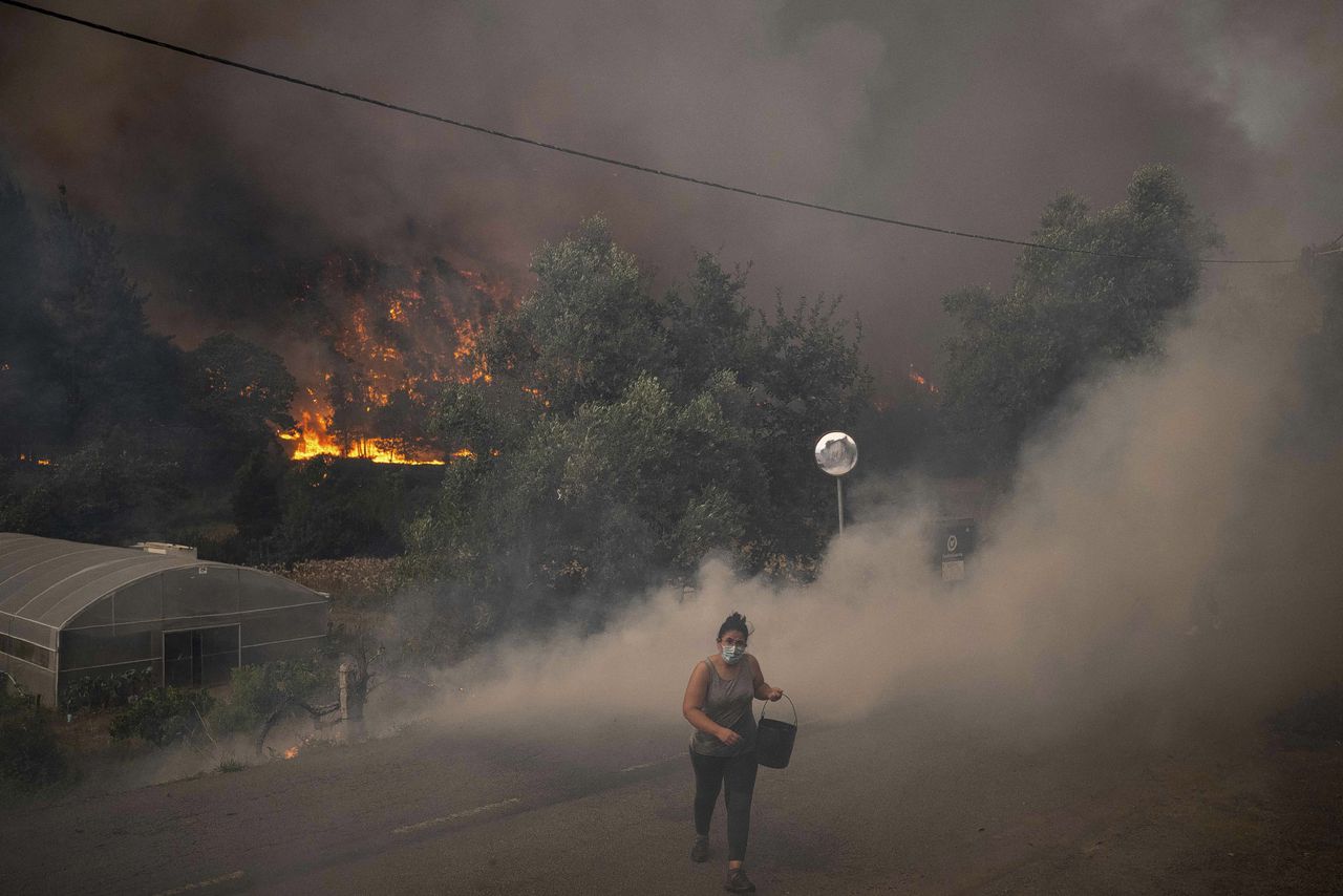 Dodelijke bosbranden teisteren noorden van Portugal: 15.000 hectare in de as