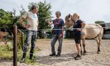 Wolvenspecialist Rick van Malssen (links) helpt met het plaatsen van een wolfwerendraster op het terrein van Elize Borsten (rechts). 