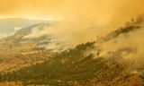 Rook stijgt op van een bosbrand in het westen van Canada, 19 juli. Het land kampt deze zomer met grote bosbranden.   