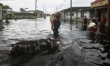 Een man met een  varken in een overstroomde straat in Batabano in Cuba, nadat orkaan Helene is overgetrokken. De orkaan nam in kracht toe toen die richting Florida trok, tot een   extreem gevaarlijke storm van categorie 4. 