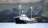 Een van de schepen van Hvalur, het enige IJslandse bedrijf dat nog op de walvis jaagt, sleept twee vinvissen in de Hvalfjörður, de Walvissenfjord. 