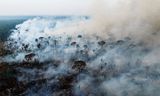 Een illegale bosbrand in het Amazone-gebied. In Brazilië worden grote stukken bos afgebrand voor intensieve veeteelt.  Foto MICHAEL DANTAS/AFP