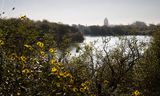 Dunea pompt het rivierwater dat is voorgezuiverd in Bergambacht in infiltratieplassen in de duinen bij Meijendel.  