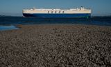 Een vrachtschip vaart langs de slikken en schorren in de Westerschelde in Zeeuws-Vlaanderen, richting de Antwerpse haven. De natuur in de Westerschelde staat onder druk door de industrie in de haven van Antwerpen.   