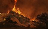 Een brandweerman trotseert de vlammen van de Palisades-brand in Mandeville Canyon.  De vooruitzichten zijn niet goed. Weerdeskundigen waarschuwen: zondag tot en met woensdag gaat het weer flink waaien. Dat kan verhinderen dat blusvliegtuigen kunnen opstijgen én het vergroot de kans op nieuwe branden. Droog struikgewas, droge lucht en zware windstoten zorgen voor een giftige cocktail van omstandigheden.