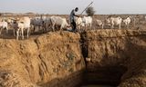 Een herder zoekt in Senegal naar water.