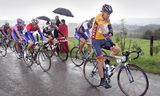 De uiteindelijke rondewinnaar Erik Dekker (in rood-wit-blauw) in het wiel van Viatcheslav Ekimov, in de laatste etappe van de Ronde van Nederland in 2004.  Foto Vincent Jannink / ANP 