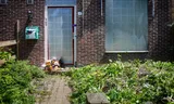 Bij de voordeur van de woning in Vlaardingen zijn knuffels neergelegd voor het 10-jarige meisje. De pleegouders zijn aangehouden op verdenking van zware mishandeling. 