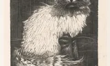 Henri Verstijnen: Bonte Angora