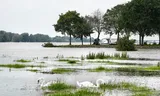 Een camping bij Oosterhout liep vorige week deels onder water.