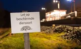 Bij station Molkwerum-Koudum in Friesland wordt gewaarschuwd voor de aanwezigheid van dassen.