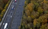 Winnen de bomen of het asfalt in Amelisweerd?