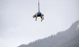 Een gewonde koe werd met een helikopter geëvacueerd.