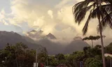 De Baraus stormvogels vliegen ieder jaar uit vanuit hun nesten in de vulkanische bergen van Réunion.Foto Romain Philippon