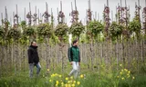 Serphaas Rustenhoven (links) en Derk van Dorland lopen langs jonge laanbomen. Foto Dieuwertje Bravenboer 