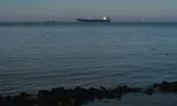 Olietanker Marabella Sun voor anker in de Westerschelde.
