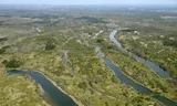 De duinen waar het waterbedrijf van Amsterdam actief is. 