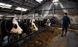 Melkveehouder Rudie Freriks heeft tijdens trainingen geleerd signalen van depressies bij collega’s te herkennen. „Uit zichzelf aan de bel trekken doet een boer niet.”