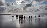 Wadlopen in Friesland. 