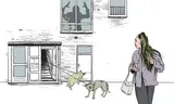 Zelf voor huiselijk geweld vluchten, maar de katten achterlaten? Dat nooit