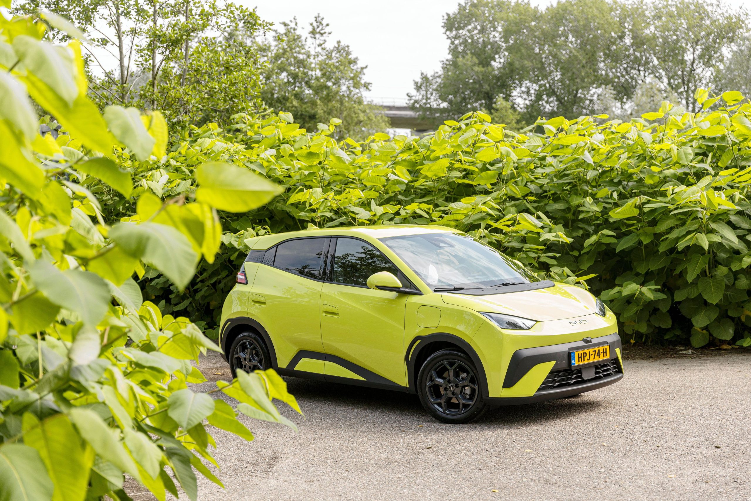 Europa mag het benauwd krijgen van de BYD Dolphin Surf