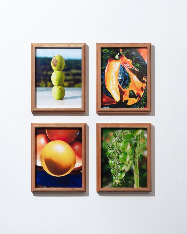 Lou-Lou van Staaveren wil in haar foto’s de ideale tuin creëren