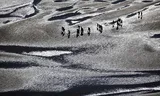 Foto Frans Lemmens