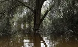 Beelden uit een langlopende serie over de vader van de fotograaf en zijn leefomgeving in de uiterwaarden rond Ophemert, die regelmatig overstromen. 