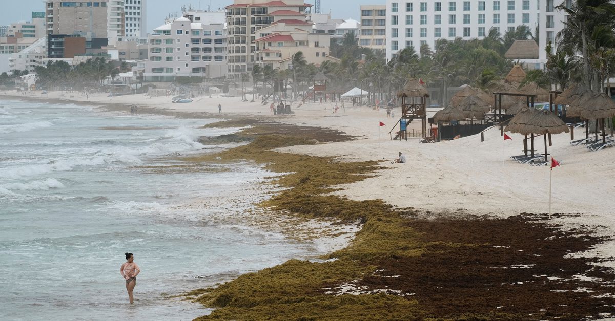 Opinie | Nemen de Noord-Amerikanen Mexico over?