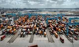 Containers in de Rotterdamse haven. Foto Merlin Daleman