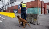 Een douane-agent staat naast een serie containers in de Antwerpse haven. 