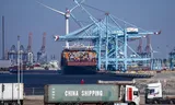 De APM-terminal op de Tweede Maasvlakte in Rotterdam. Foto Jochen Tack/Imago 