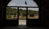 Bosgebied nabij het Griekse dorp Vilia, 18 juni. 
