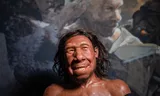 Reconstructie van het gezicht van een neanderthaler die 50.000 jaar geleden leefde in Doggerland, nu de Noordzee. Een botfragment dat als basis ervoor diende werd gevonden in Zeeland. 