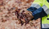 Uienschillen, aardappelschillen en andere groenresten kunnen dienen als grondstof voor groen gas.