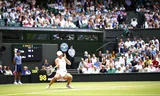 Verbeek tweede Nederlandse winnaar ooit van gemengd dubbelspel Wimbledon