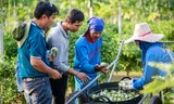 Zaadveredelaar uit Enkhuizen die een verschil wilde maken door kleine boeren wereldwijd te helpen